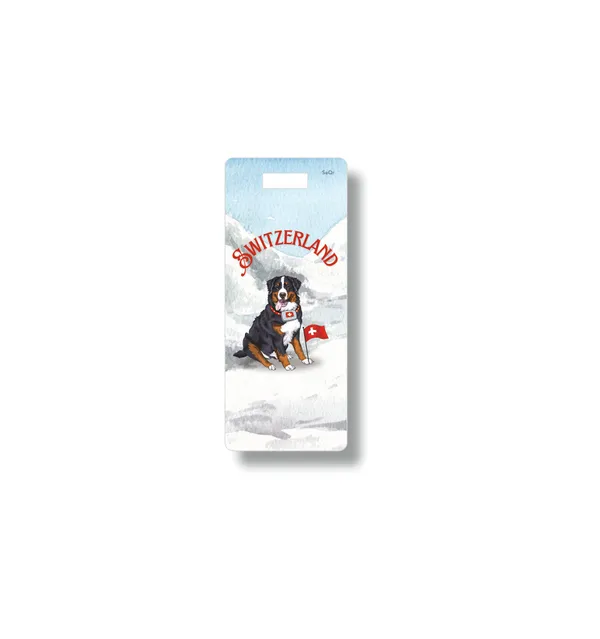 SWITZERLAND_BAG_TAG_03
