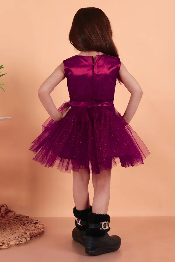 Purple_Net_Embellished_Fit_And_Flare_Dress_For_Girls