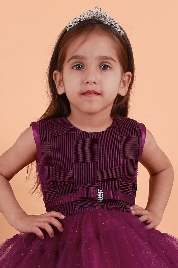 Purple_Net_Embellished_Fit_And_Flare_Dress_For_Girls