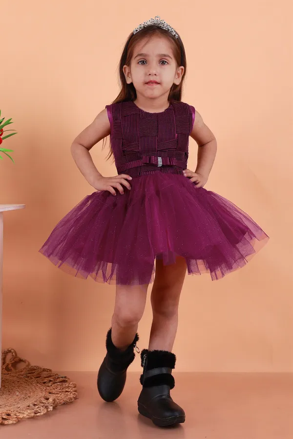 Purple_Net_Embellished_Fit_And_Flare_Dress_For_Girls