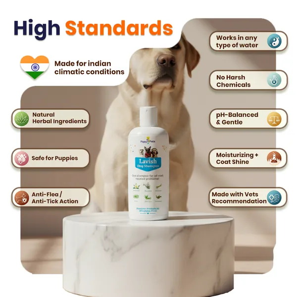 Lavish_Dog_Shampoo_(0.2_kg)