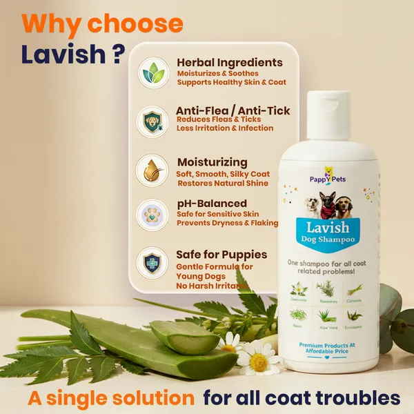 Lavish_Dog_Shampoo_(0.2_kg)
