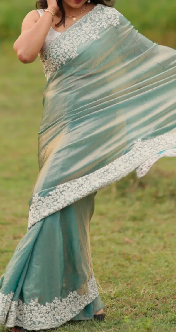 Shimmer_Embroidery_Saree