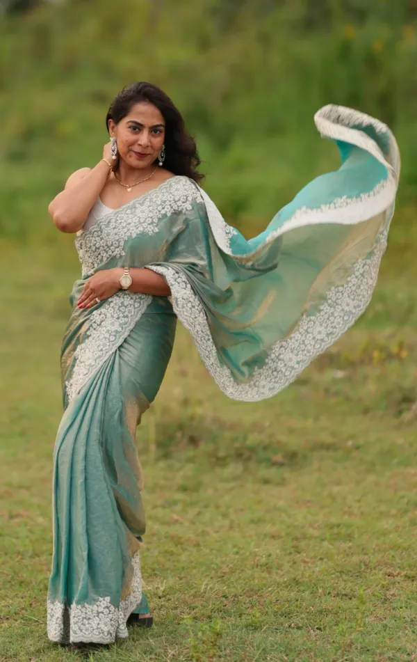 Shimmer_Embroidery_Saree