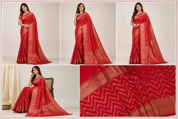 PREMIUM_SHIFFON_GEORGET_SAREE