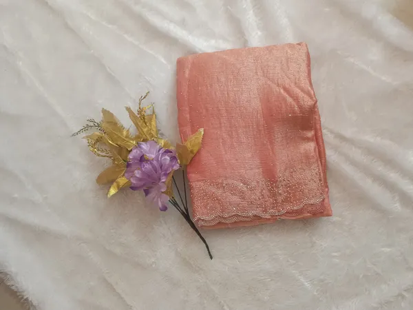 Bling_Border_Replica_Sarees_Peach_Pink
