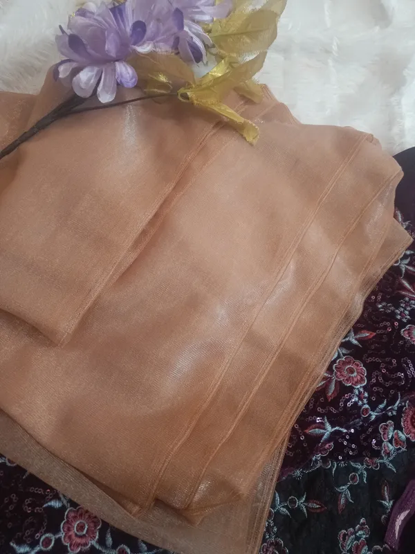Nude_Pink_Designer_Plain_Saree_With_Designer_Blouse
