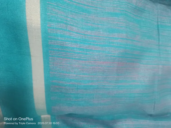 Chinia_silk_saree___bentex_border_
