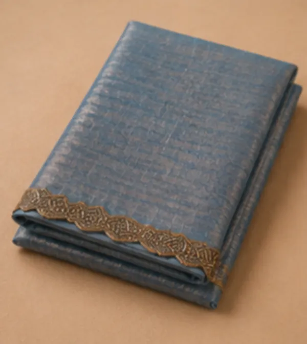 Jimichu_stone_work_saree