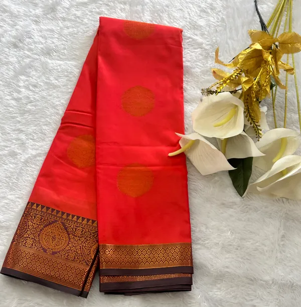 Kanchi_border_saree