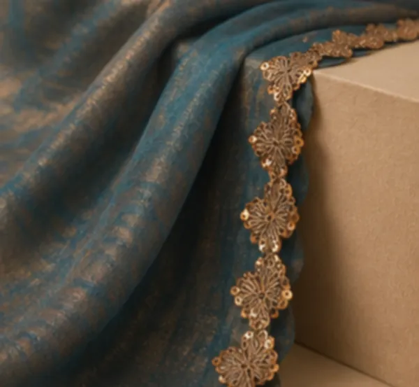Lace_work_saree