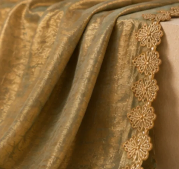 Lace_work_saree