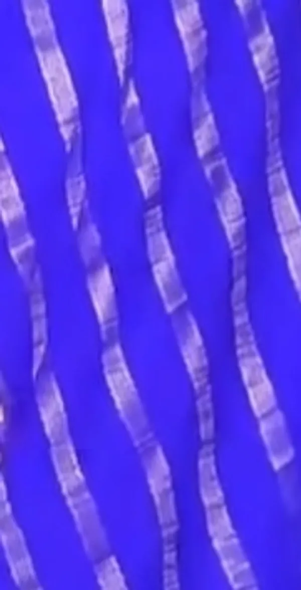 Royal_blue_semi_crepe_silk_saree
