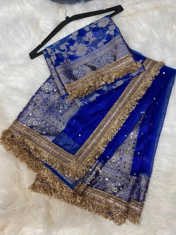 Tissue_mirror,_handwork_saree_with_Sabyasachi_border