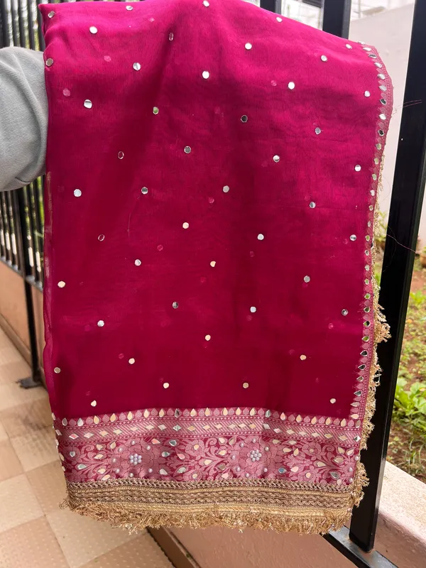 Tissue_mirror_handwork_saree_with_sabyasachi_lace