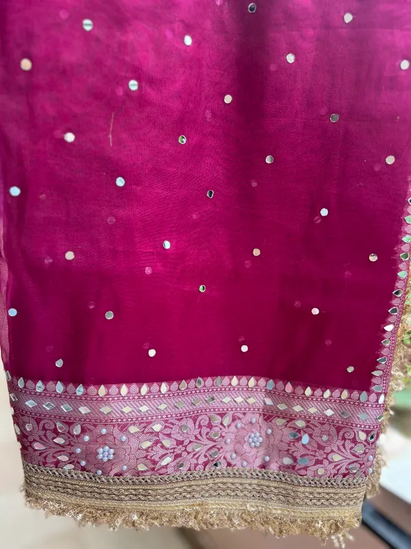 Tissue_mirror_handwork_saree_with_sabyasachi_lace