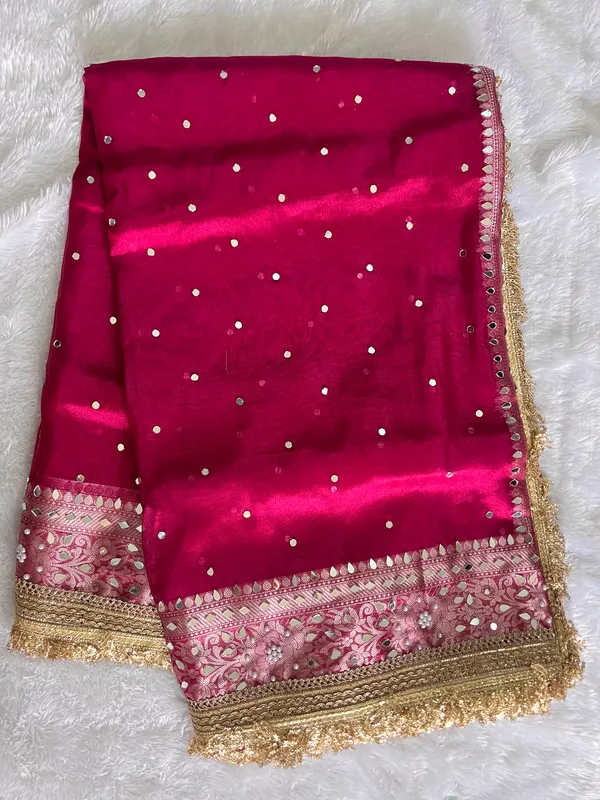 Tissue_mirror_handwork_saree_with_sabyasachi_lace