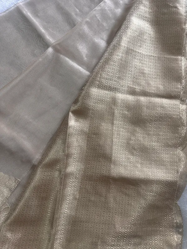 Tissue_scalloped_bead_hand_work_saree