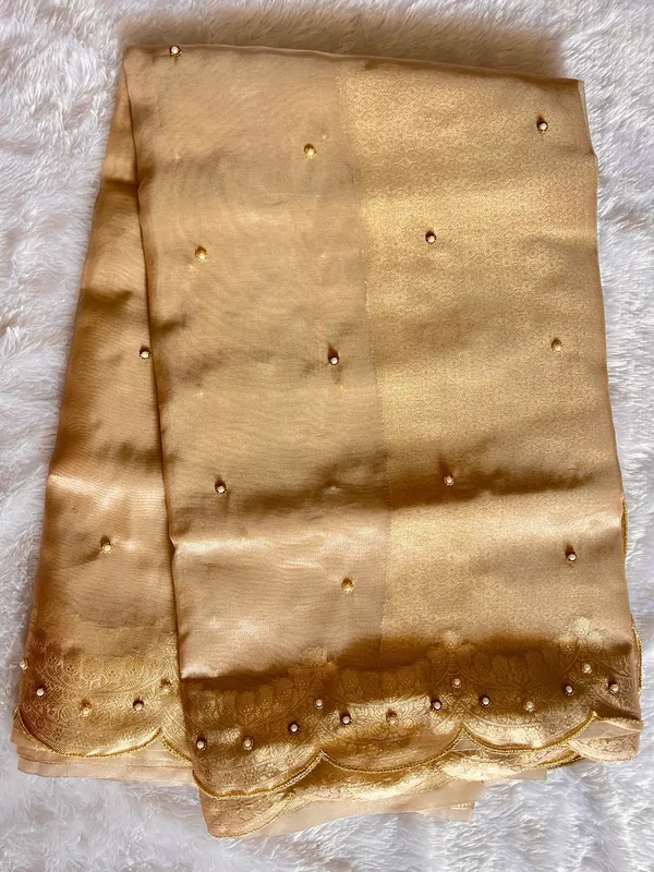 Tissue_scalloped_bead_hand_work_saree