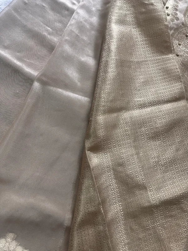 Tissue_scalloped_bead_hand_work_saree