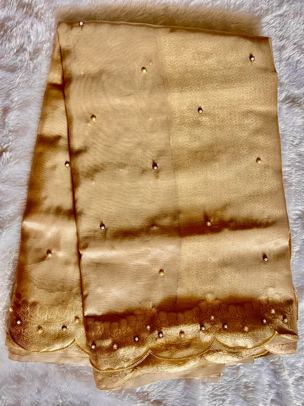Tissue_scalloped_bead_hand_work_saree