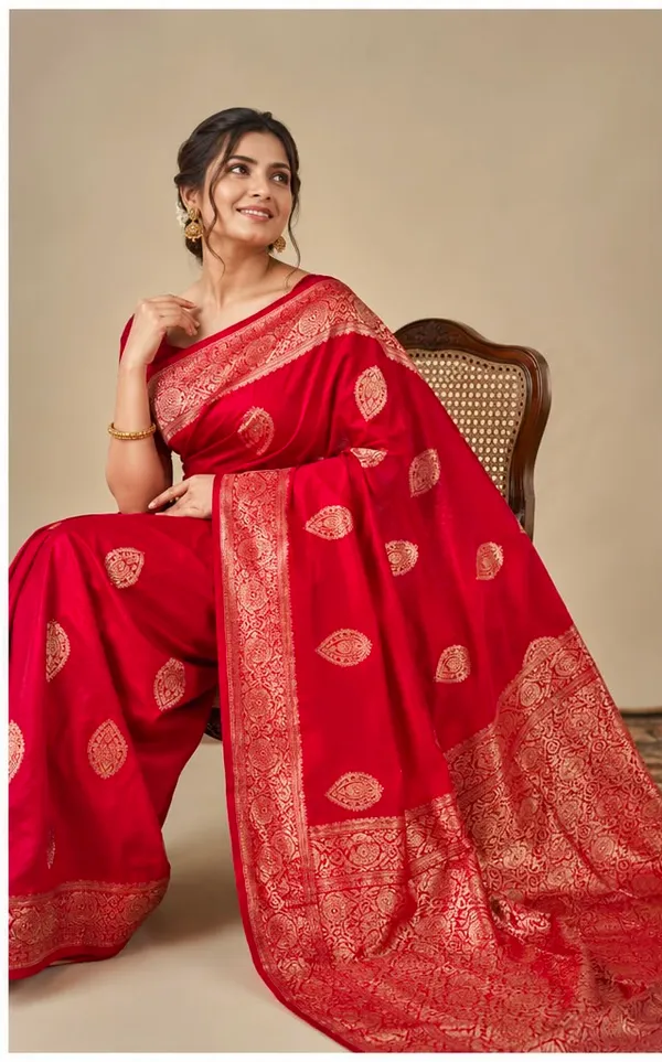 PREMIUM_SHIFFON_GEORGET_SAREE