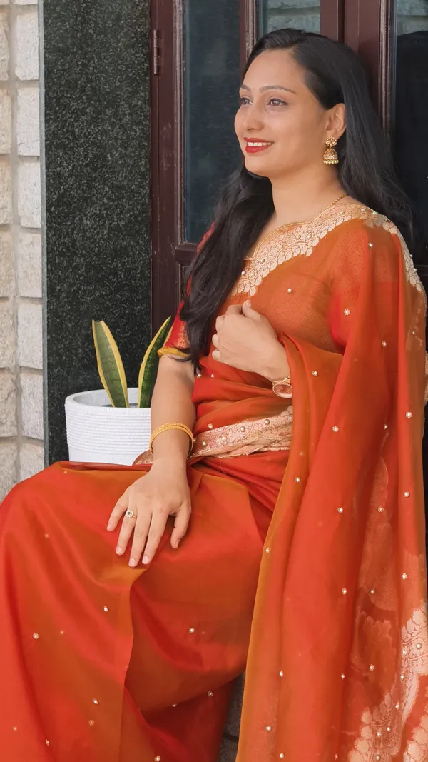 Tissue_scallop_border__beadwork_saree