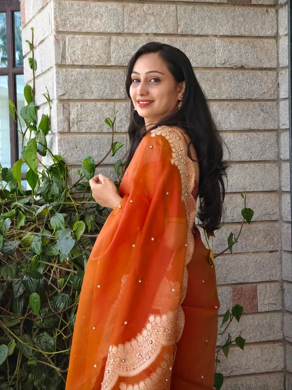 Tissue_scallop_border__beadwork_saree