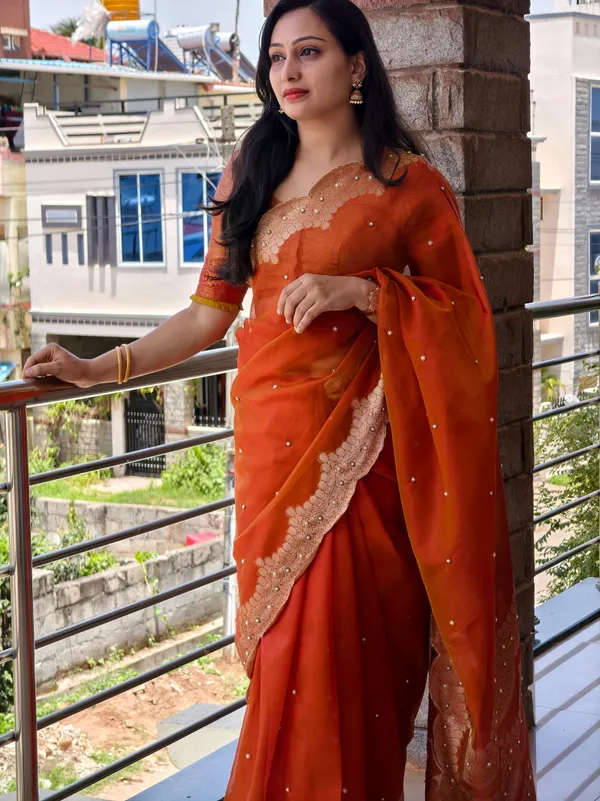 Tissue_scallop_border__beadwork_saree