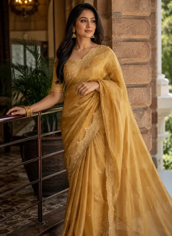Tissue_scalloped_bead_hand_work_saree