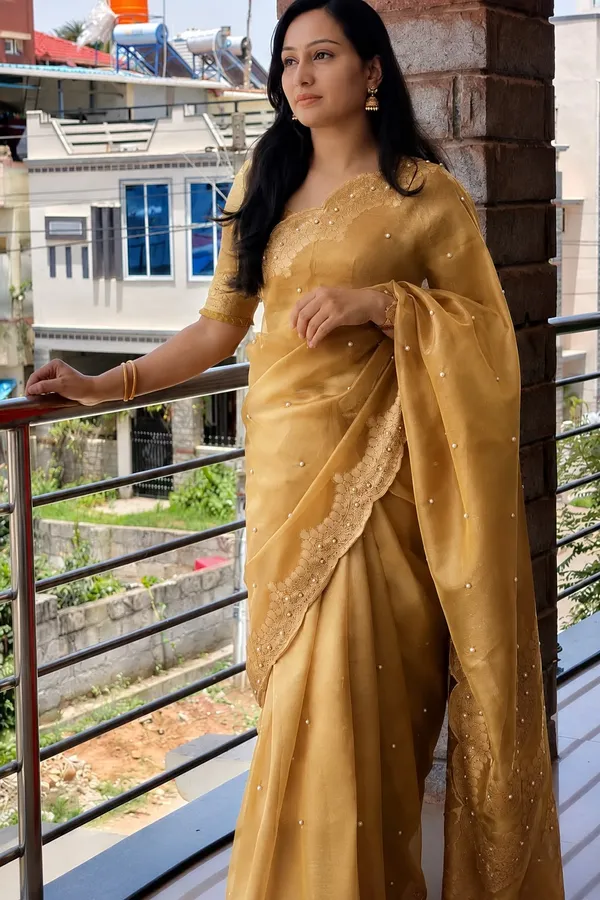 Tissue_scalloped_bead_hand_work_saree