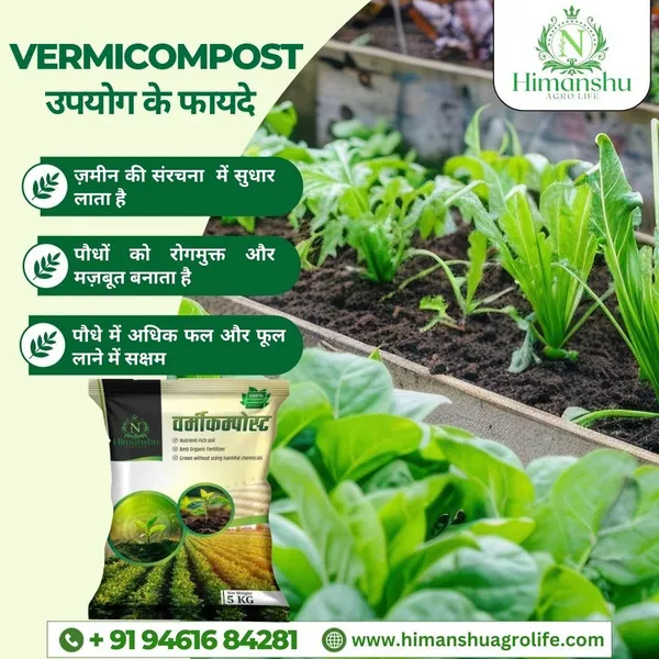 Brown_Vermicompost_Fertilizer_Enhances_Root_Structure_(5_Kg_Granules)