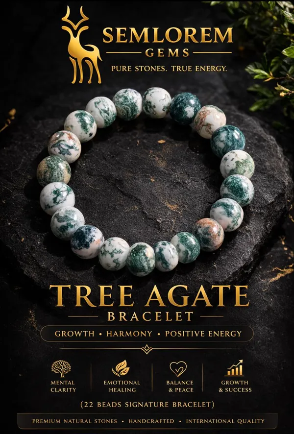 Multicolour_Tree_Agate_Natural_Stone_Bracelet_22_Beads_Signature_Bracelet_For_Growth_And_Harmony_And_Positive_Energy
