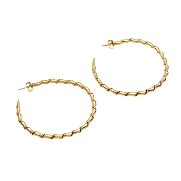 Gold_Premium_Brass_Earrings_Hoop_For_Women