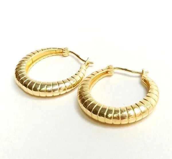 Gold_Premium_Brass_Earrings_Hoop_For_Women