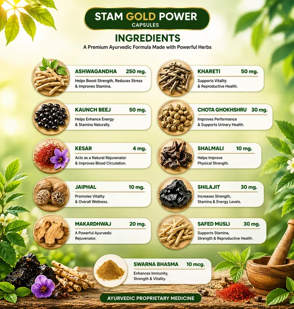 Stam_Gold_Power_Capsules_-_Higher_Power_&_Stamina_with_Swarna_Bhashma_(30_Capsules)_-_Pack_of_1