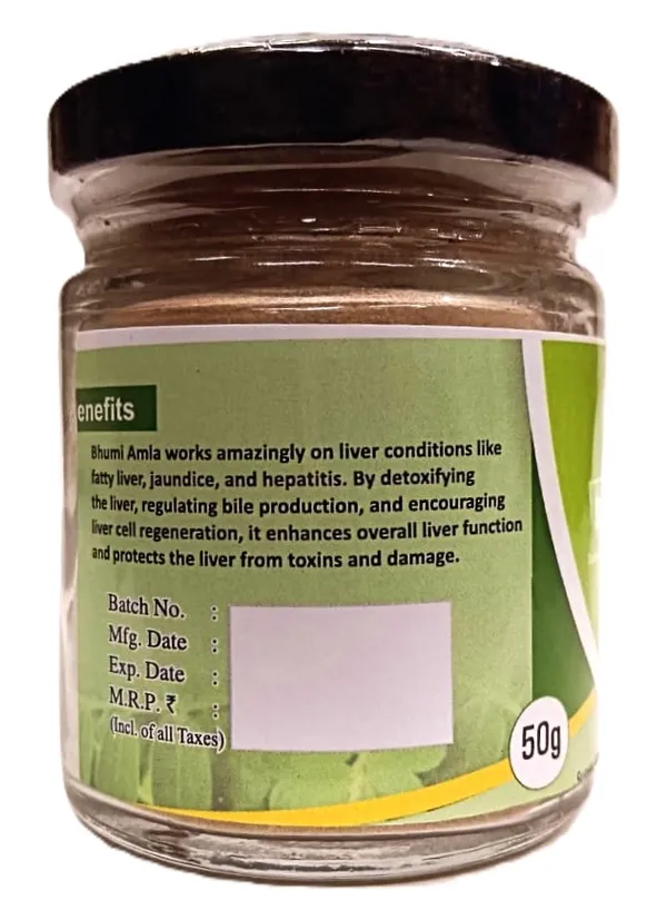 Organic_Bhumi_Amla_With_100%_Phyllanthus_Niruri_Powder