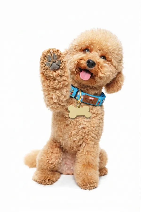 Brass_Dog_Bone_Shaped_Pet_Id_Tag_With_Paw_Print_Design
