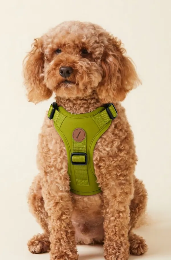 Paw_Planet_Nylon_Dog_Harness_With_Adjustable_Straps_-_Olive_Green