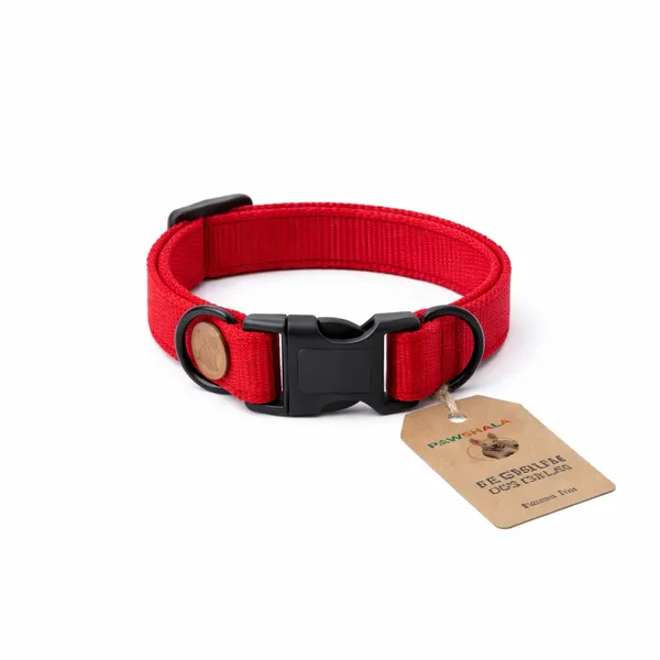 The_Midnight_Walker_-_Premium_Tag,_Pet_Collar_and_Leash_Combo_Set