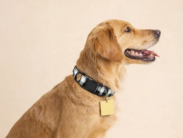 Paw-Shall_Brass_Pet_Id_Tag_With_Wooden_Hang_Card