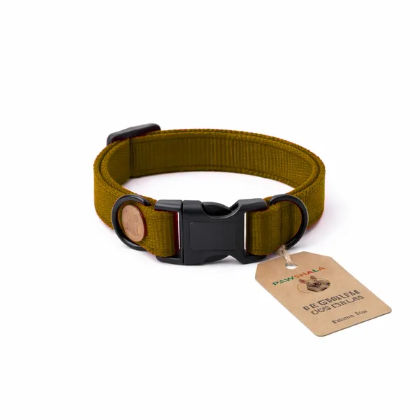 Flossie_&_Co_Premium_Nylon_Dog_Collar_With_Quick-Release_Buckle_-_Olive_Green