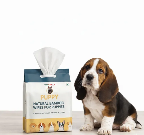 Pet_Cleaning_Wipes_(Unnamed_Product)