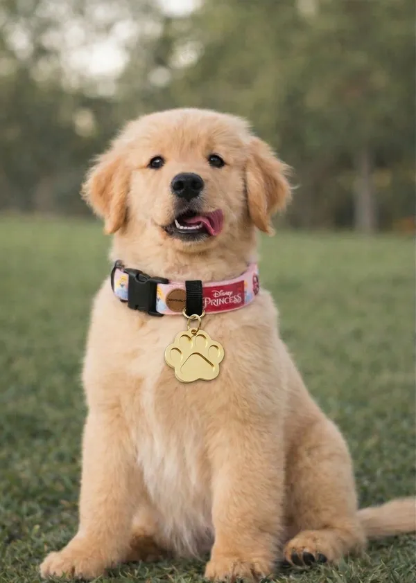 Pawshala_Dog_Treats_Combo_-_Rogan_Josh_Jerky_&_Zenith_Smile_with_Tag_&_Pochi_Cream