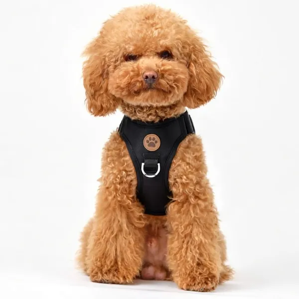 Black_Dog_Harness_With_Metal_D-Ring_And_Adjustable_Straps