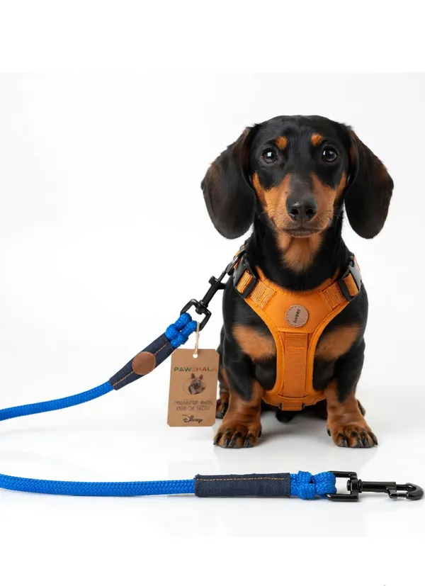 Pawspal_Ultra_Durable_Rope_Dog_Leash_With_Padded_Handle_-_Blue