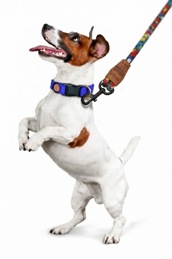 Pawshala_Marvel_Heroes_Premium_Dog_Leash_-_Spidey_Edition