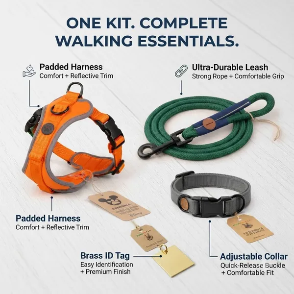 Complete_Walk_Kit_-_Padded_Harness,_Durable_leash,_Adjustable_collar,_ID_tag