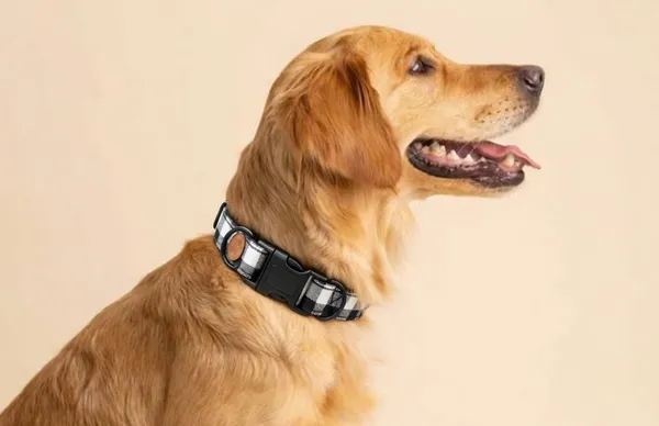 Reflective_Checkered_Dog_Collar_With_Quick-Release_Buckle