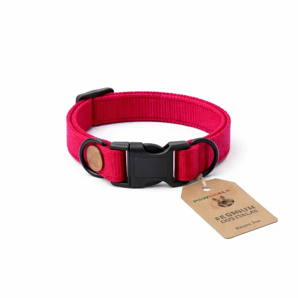 Adjustable_Red_Nylon_Dog_Collar_With_Quick-Release_Buckle